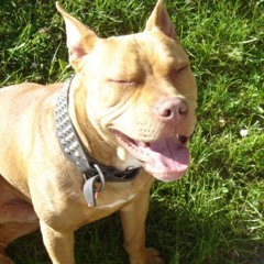 HAT OFF TO YOU INSTRUMENTAL IDEA