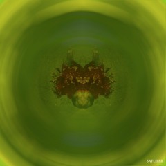 Ask The Dick Anything