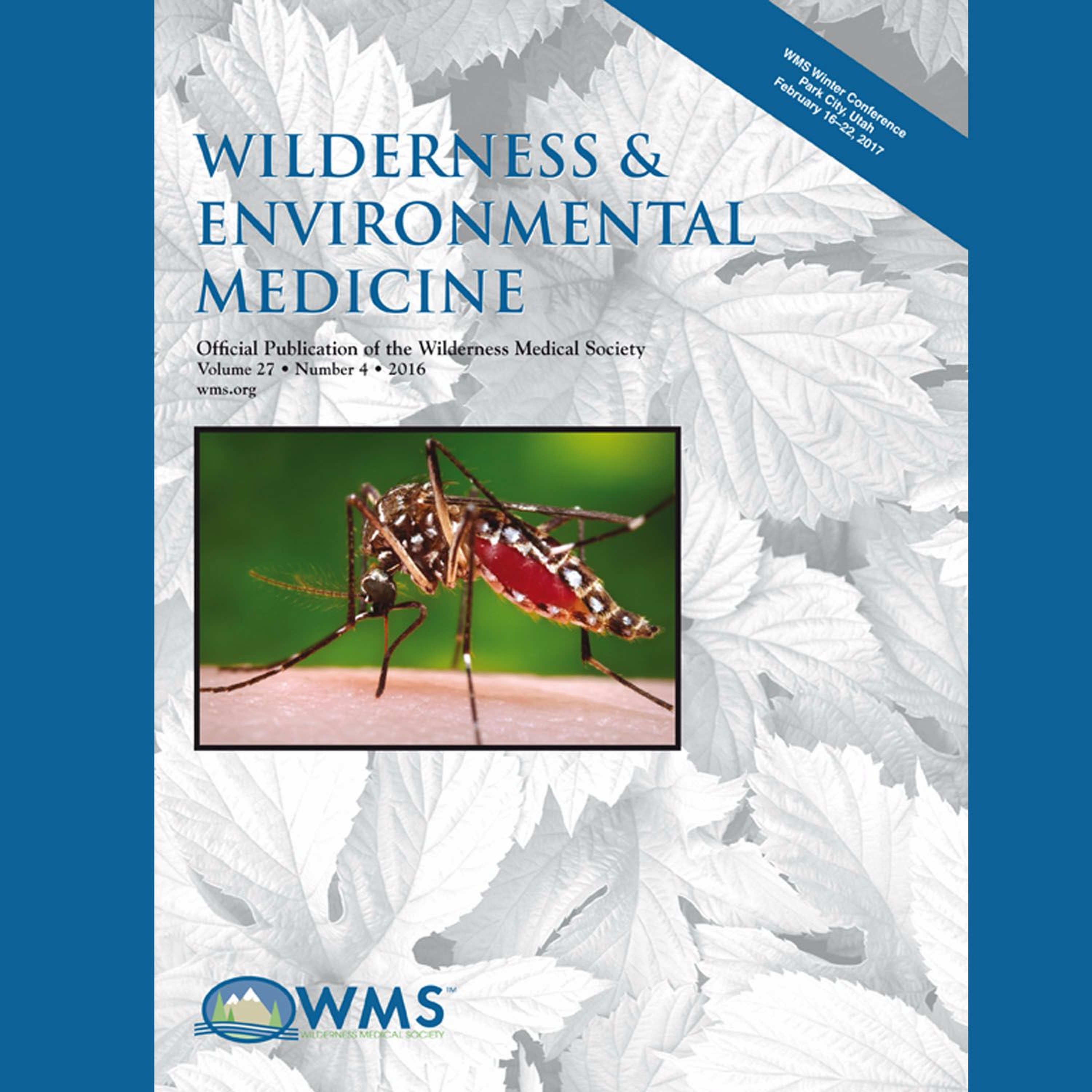 Wilderness Medicine Podcast
