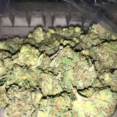 Hood Rich_Ft-Too-Tight