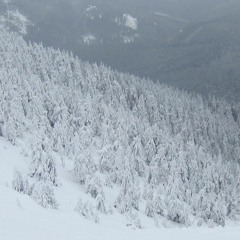 Downtown Siberia (DEMO)