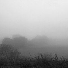 want to be near you (demo)