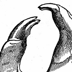 lislbar & wermuth - Anti Hypnagogic