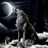 Nightcore - Look At Me Now ClipConverter gr Nightcore - Look At Me Now ClipConverter gr
