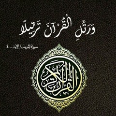 القرآن الكريم بصوت عامر الكاظمي