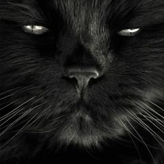 DARK (DECEMBER 2016)