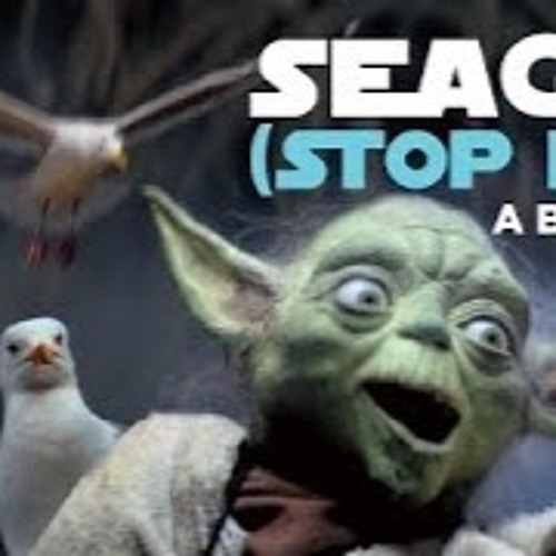 "SEAGULLS! (Stop It Now)"