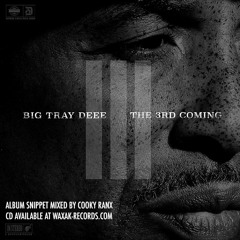 BIG TRAY DEEE - The 3rd Coming [album SNIPPET mixed by Cooky Ranx]