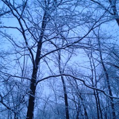 Saturnalia Hymnal (Unmastered)