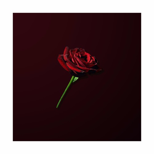 dontloveme & Visions - U