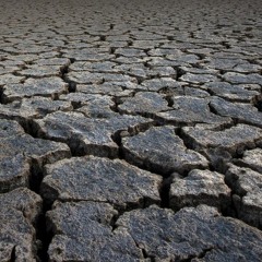 Deserts 6