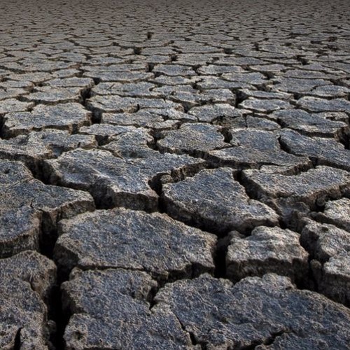 Deserts 6