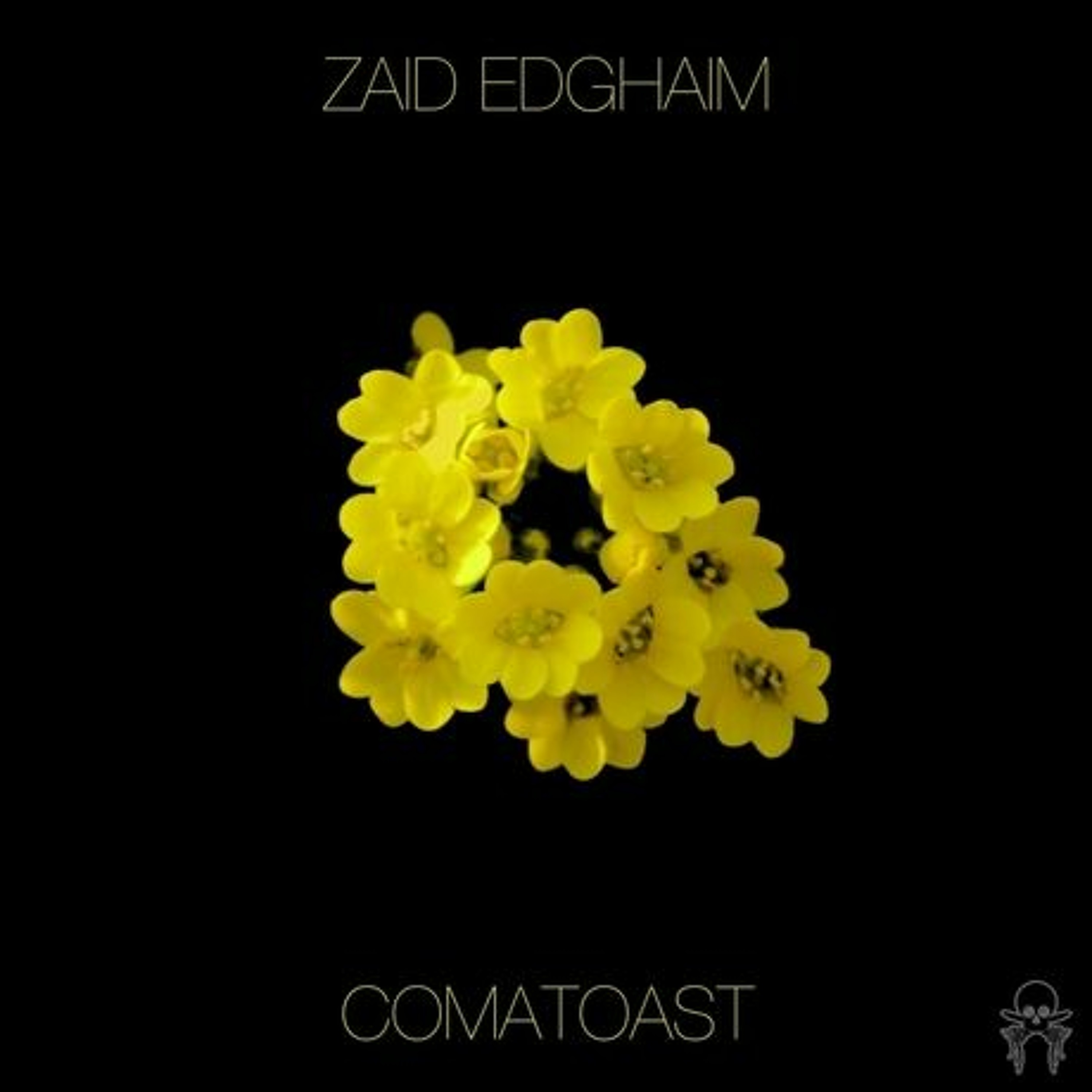 Zaid - Comatoast (Eggbox Remix) episode artwork