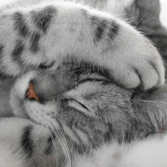 #1GAM - Keynote - WHY