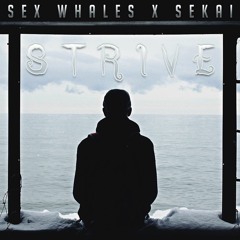 Strive w/ WHALES