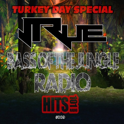 BASS OF THE JUNGLE #009 LIVE ON HITS101 RADIO (TURKEY DAY SPECIAL)