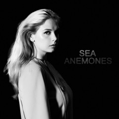Sea Anemones (Radio)