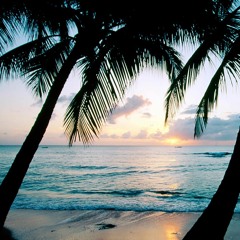 Lisa Fischer - How Can I Ease The Pain (DΛИИY Remix)