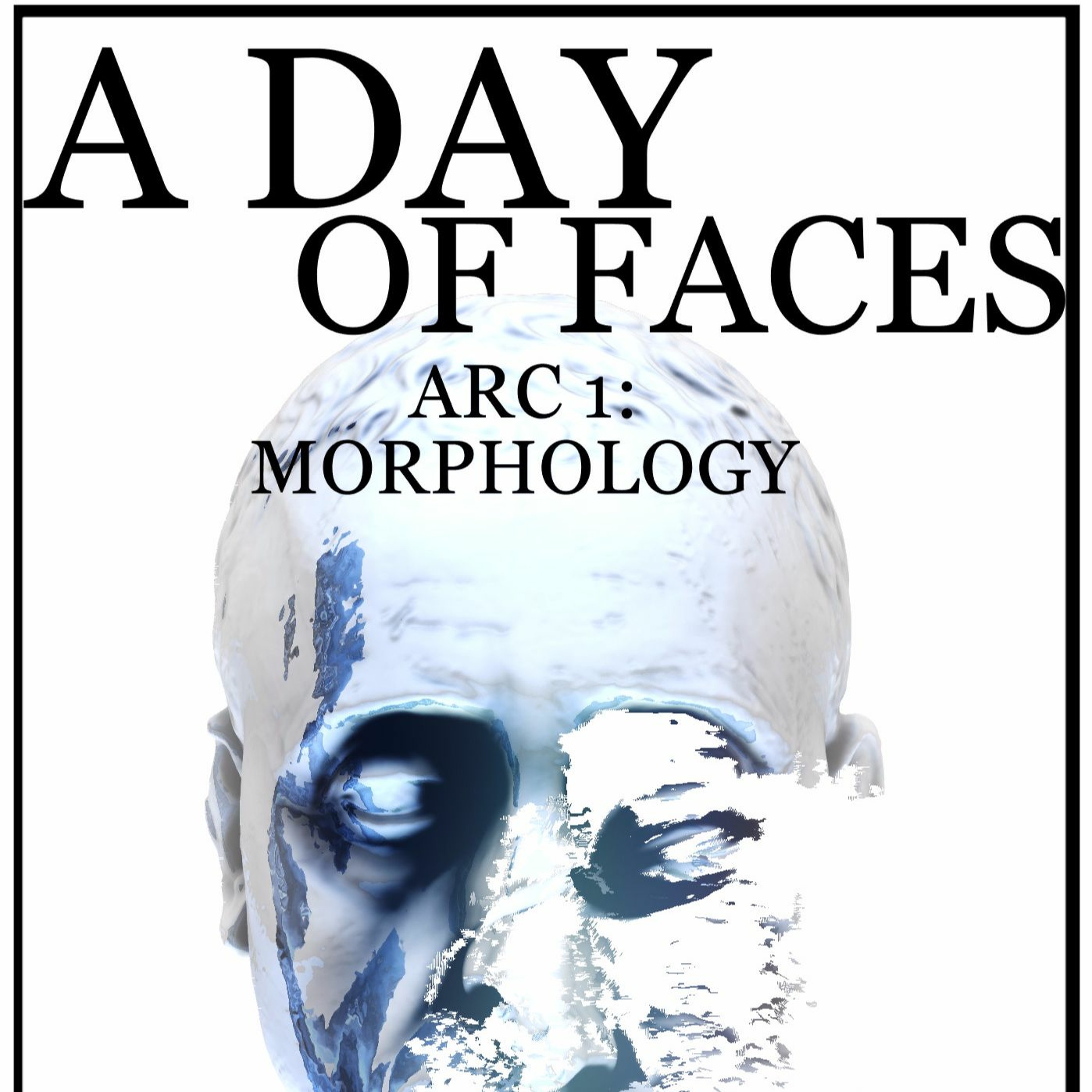 A Day of Faces audiobook