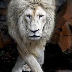 Fuck U Bitch Prod By The Vision