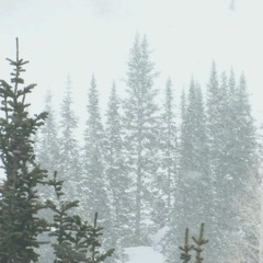 † Winter $uicide †