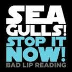 SEAGULLS! (Stop It Now)by Bad Lip Reading