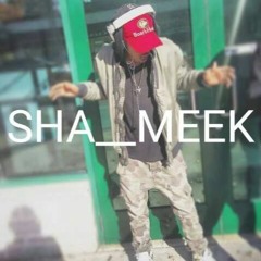 SHA__MEEK - EVERYTHING CHANGED