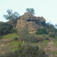 A Mountain Called Monkey