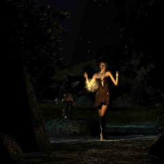 The Wiccan Forrest