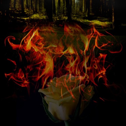 Tasbara's Theme