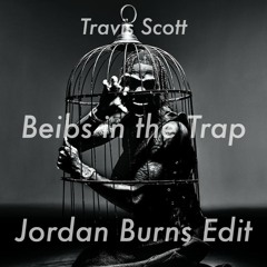 Beibs in the Trap (Jordan Burns Edit) PREVIEW
