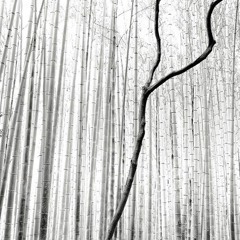 Marc Pandala - Winter Mittens Mix (Liquid)