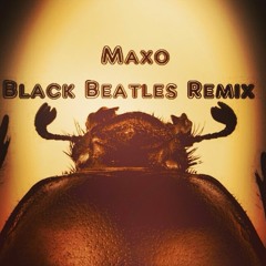 Black Beatles (Freestyle) - Maxo
