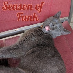 Season Of Funk