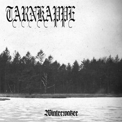 Tarnkappe - Kale Vlakten, Desolatie