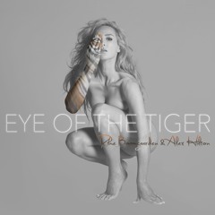 Rike Boomgaarden & Alex Hilton - Eye Of The Tiger (Jordan Dyck Remix Edit)