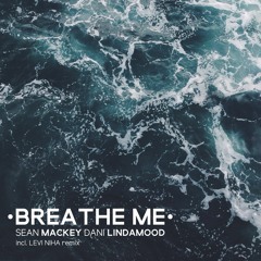 Sean Mackey - Breathe Me (feat. Dani Lindamood)