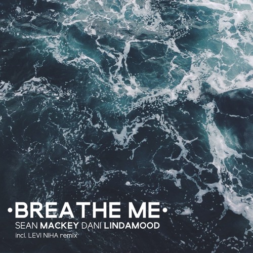 Sean Mackey - Breathe Me (feat. Dani Lindamood)