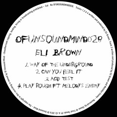 Eli Brown & Melodys Enemy - Play Rough (clip)