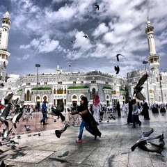 أنا الفقير إلى رب السماوات