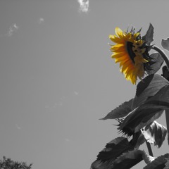 My Best (a song for Edith)