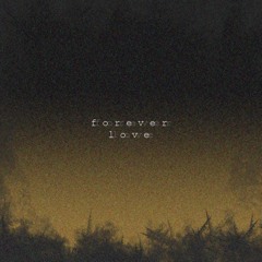 sarah juers - forever love (montell fish remix)