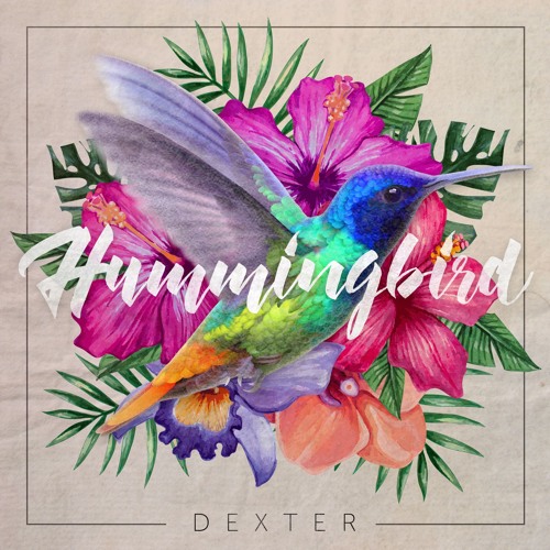 Hummingbird