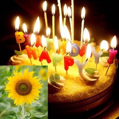 Chuc mung sinh nhat ban Hoa