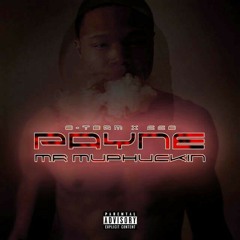 PAYNE - MR MUTHAFUCKIN.mp3