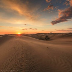 Les fourberies d'une Freepouille - extrait live machine 2016