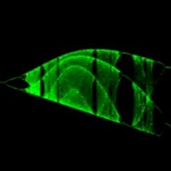 Your Gauss is as good as mine