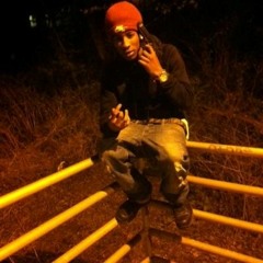 Semi$hippdion-News Flash Freestyle