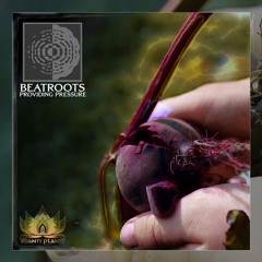 01 Beatroots - Dispersion