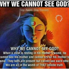 Ria - Full Video - Bruce Lee The Fighter - Ram Charan & Rakul Preet Singh